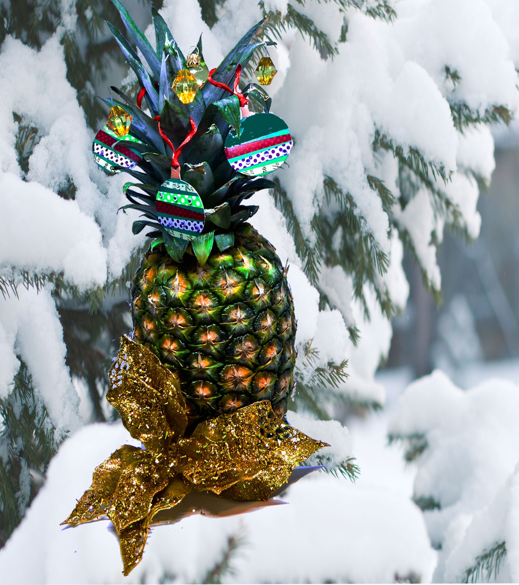 christmas xmas pineapple free photo