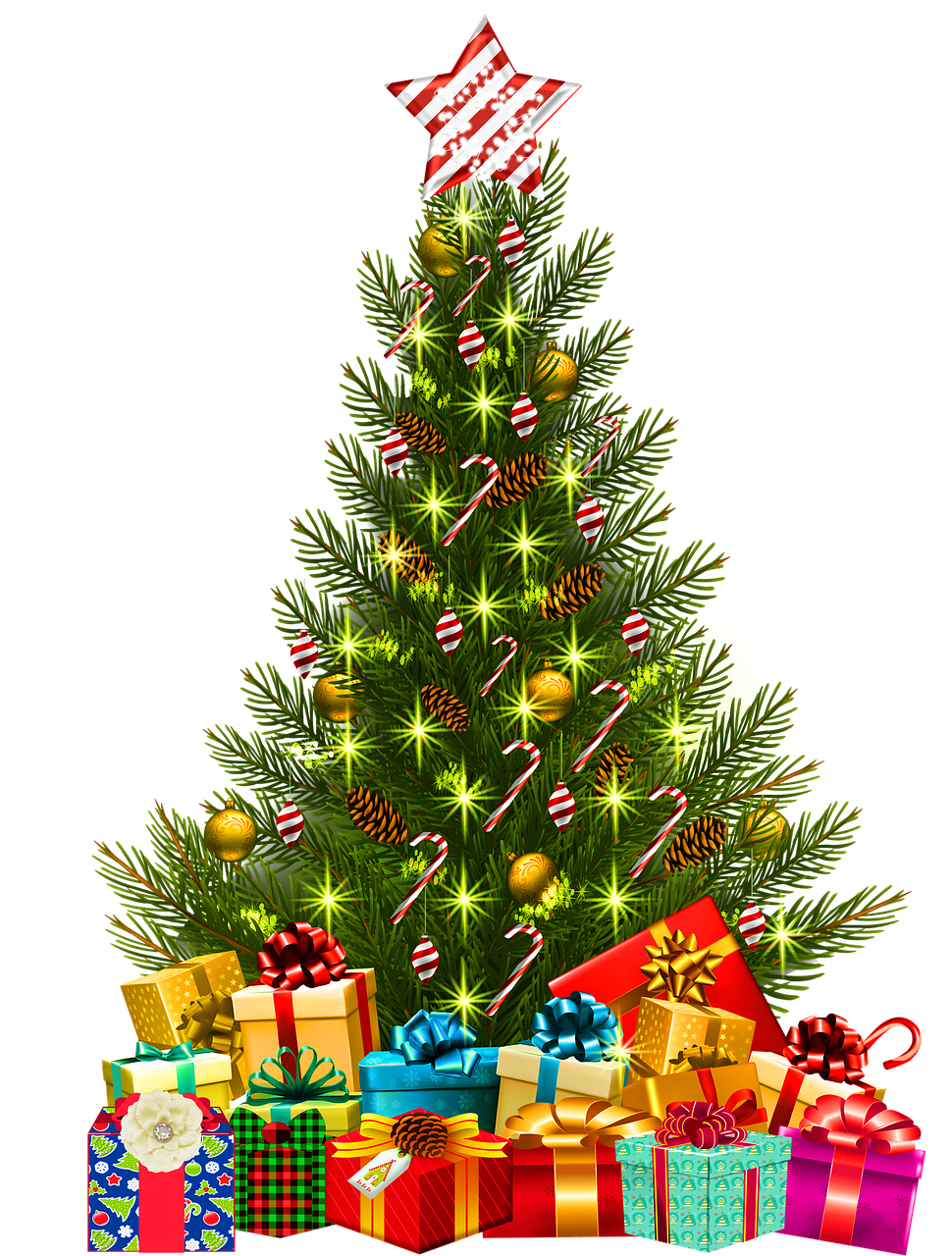christmas tree with lights  gifts under the tee  ornaments free photo