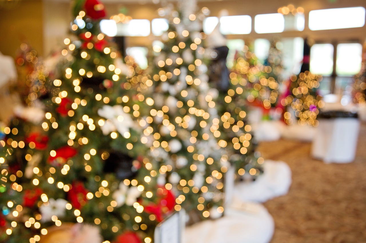 christmas trees bokeh decoration free photo