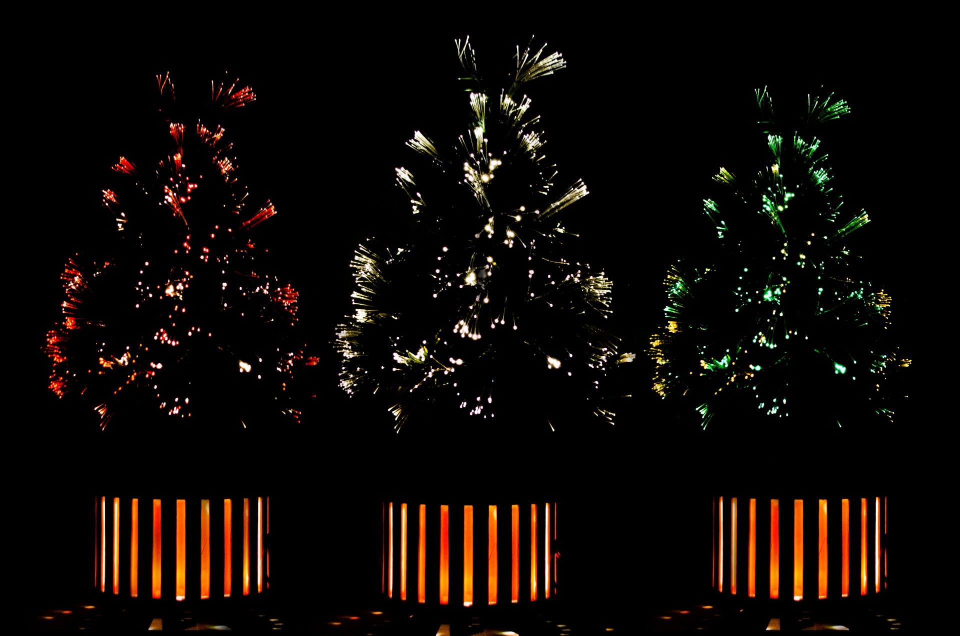 christmas tree background free photo