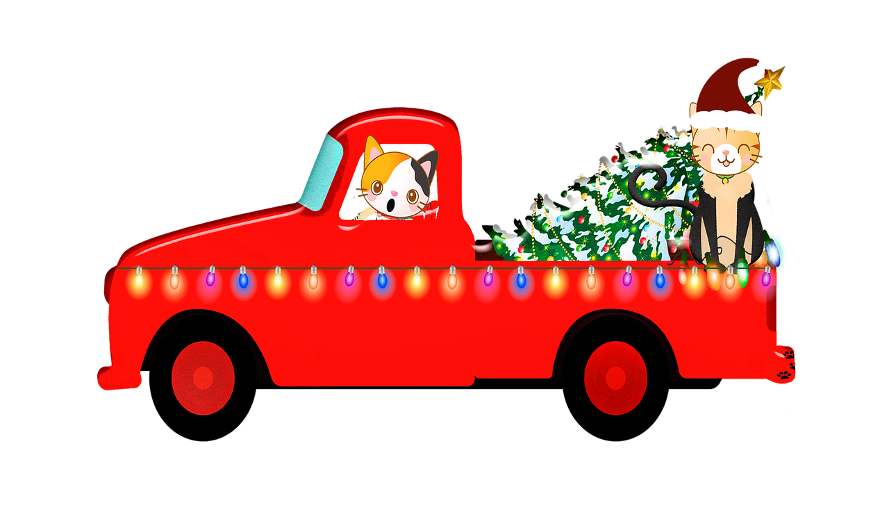 christmas truck  christmas tree  lights free photo