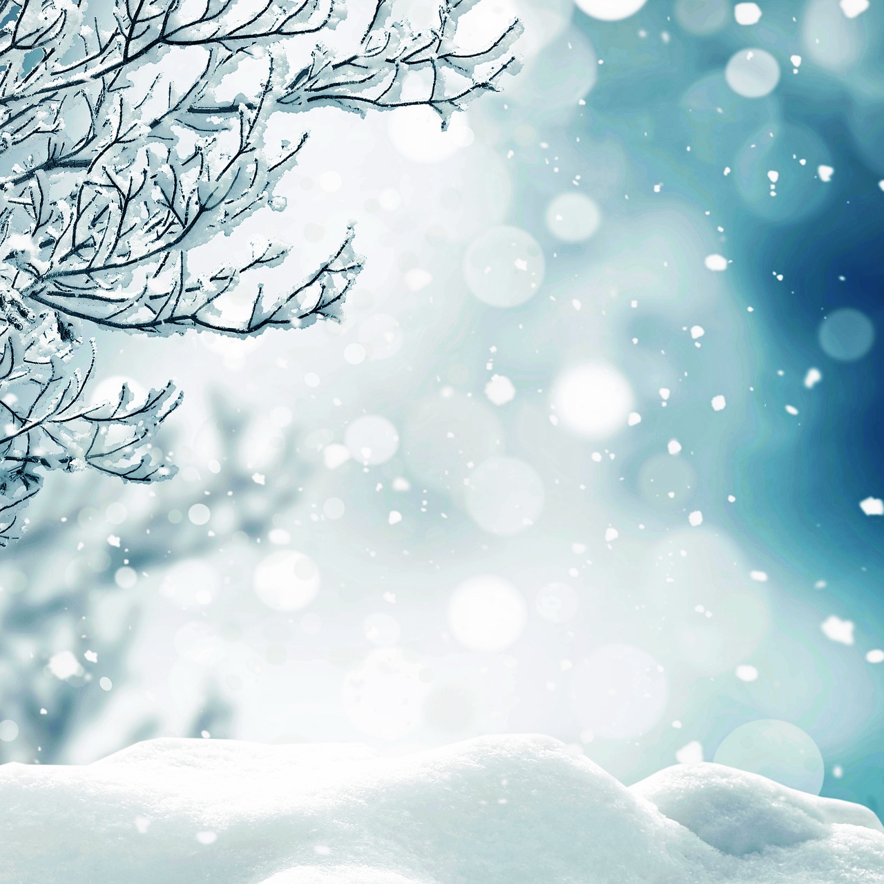 christmas winter tree  bokeh  christmas background free photo