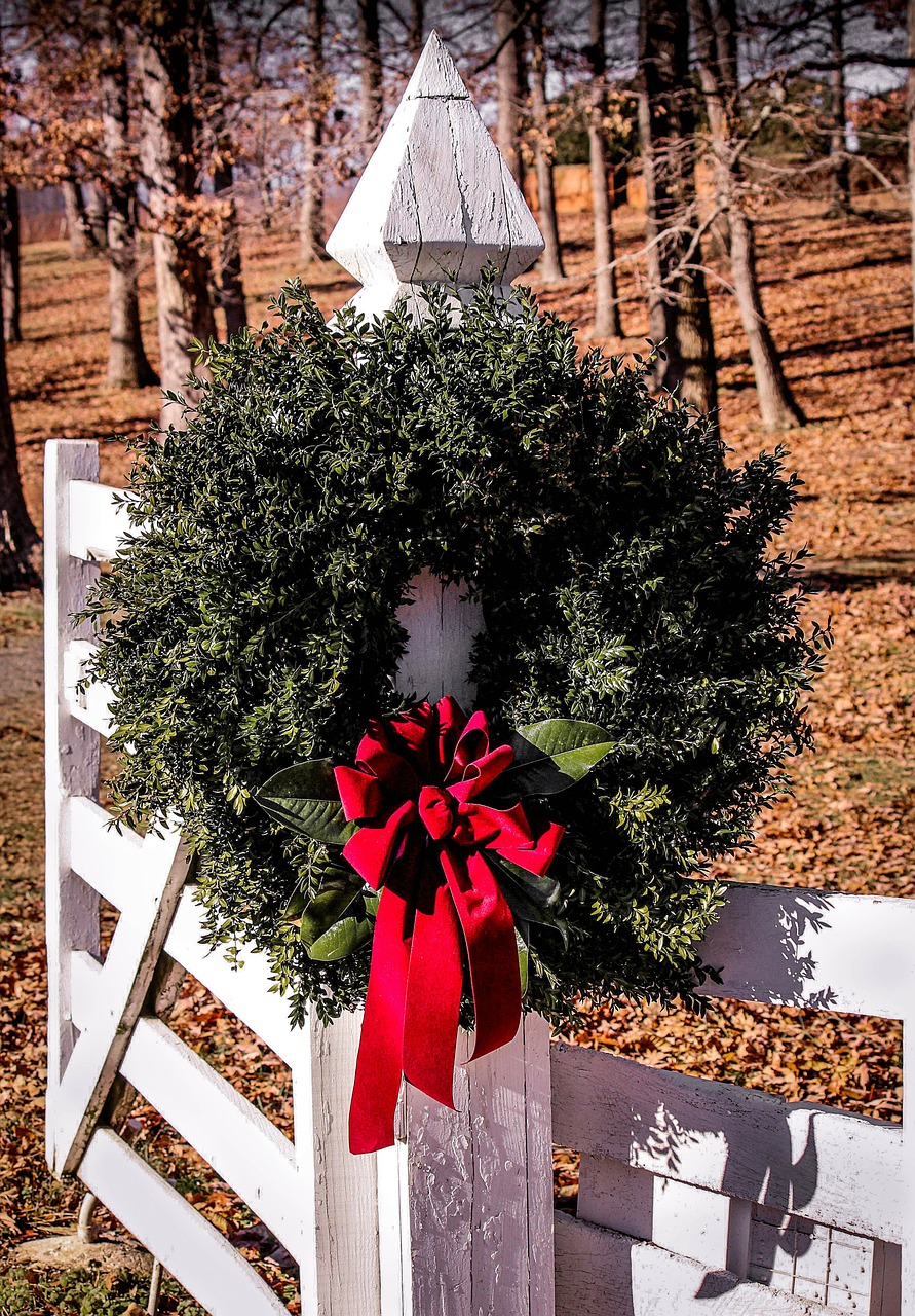 christmas wreath gate boxwood wreath free photo