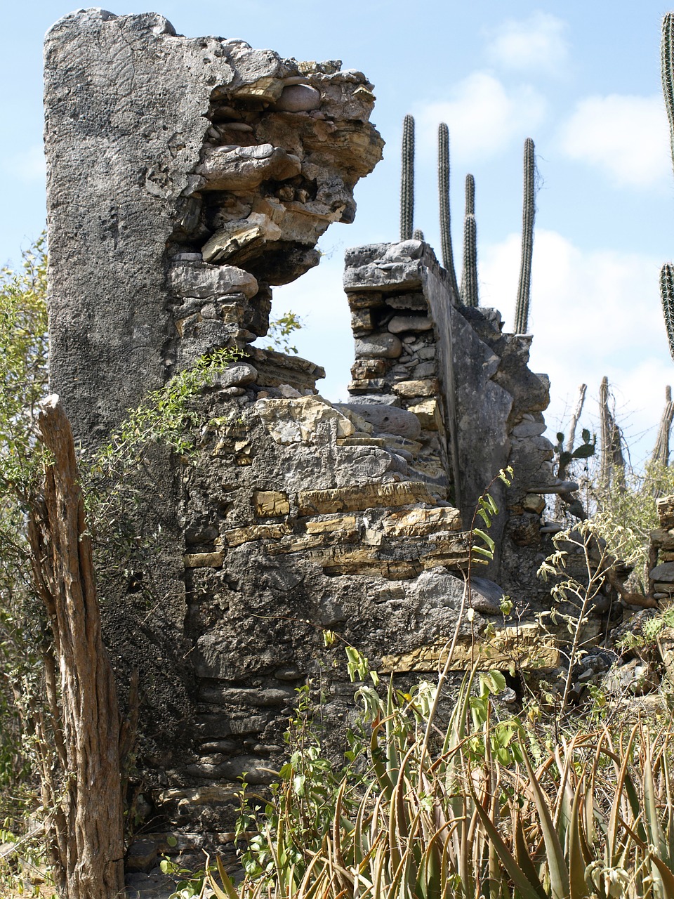 christoffel park ruins antilles free photo