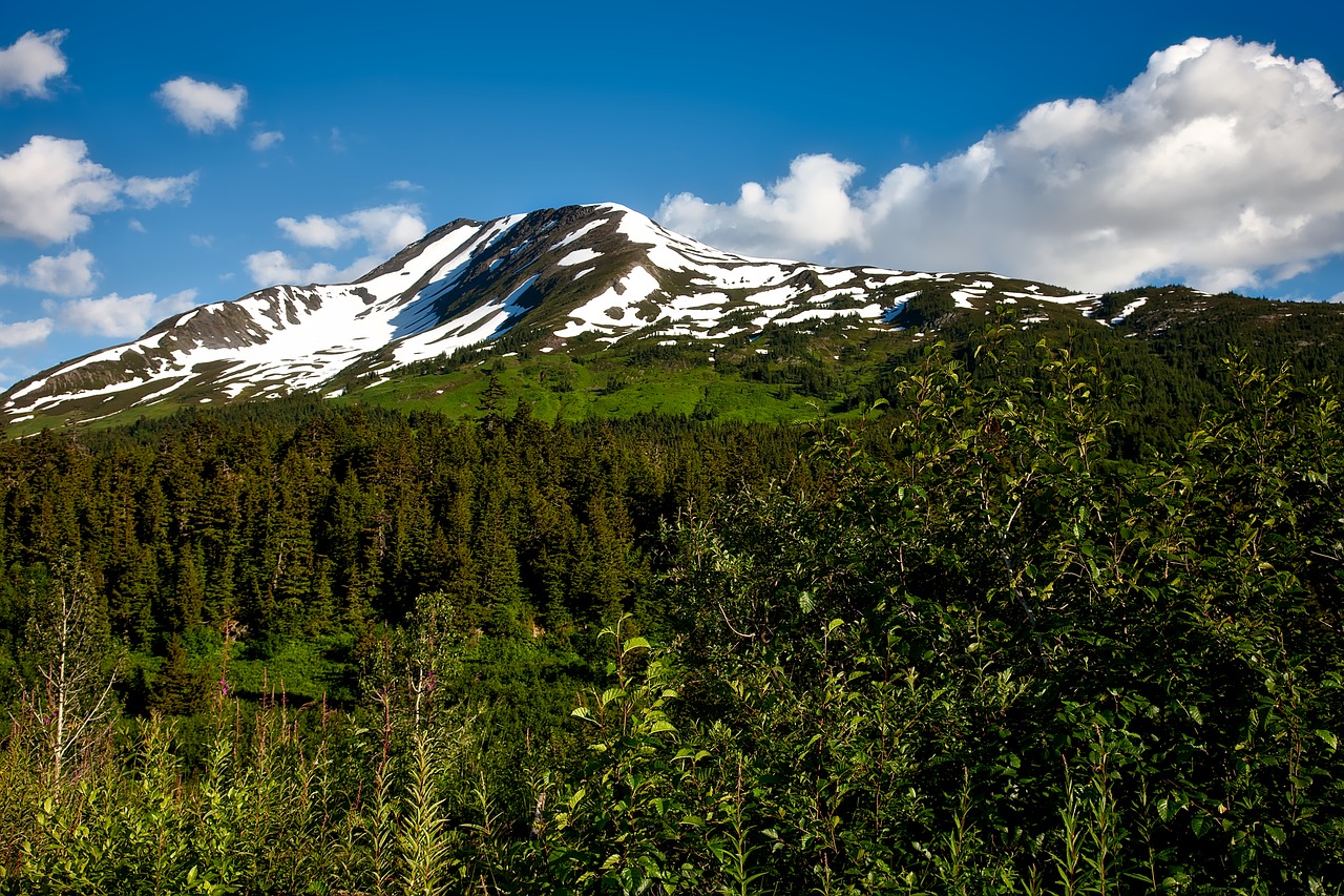 chugach national forest alaska landscape free photo