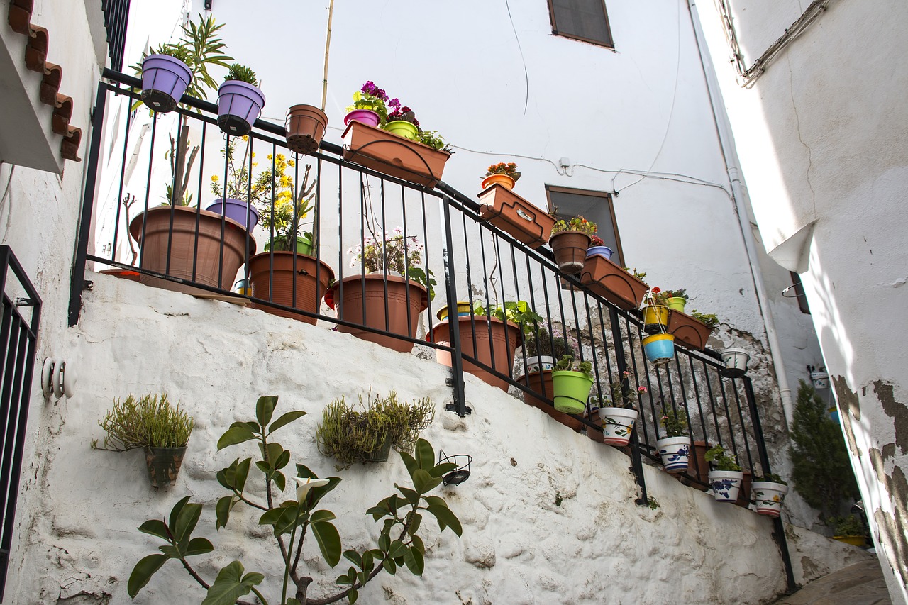 chulilla balcony plants free photo