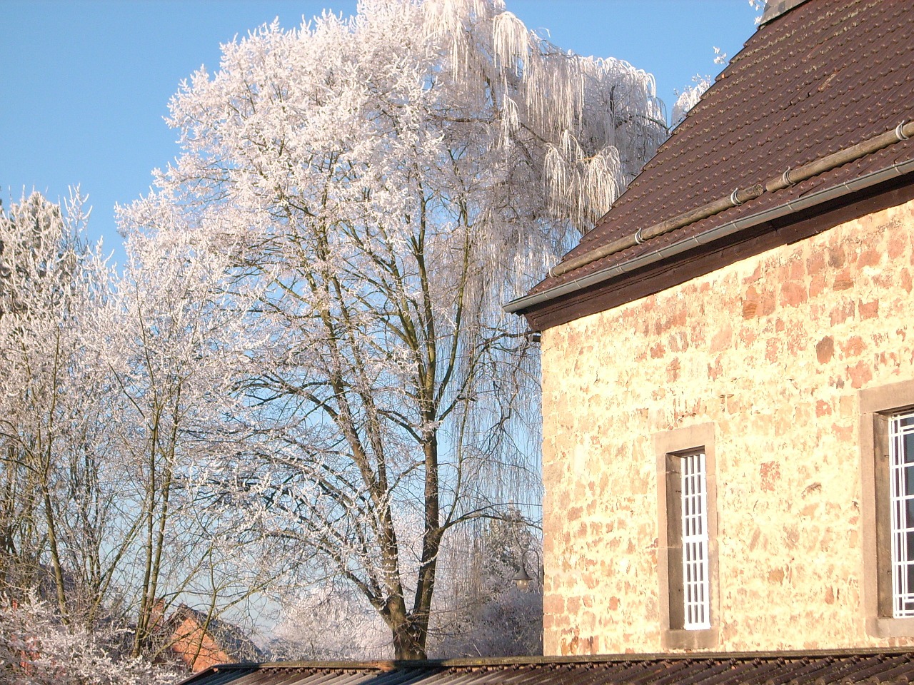 church tree sky free photo