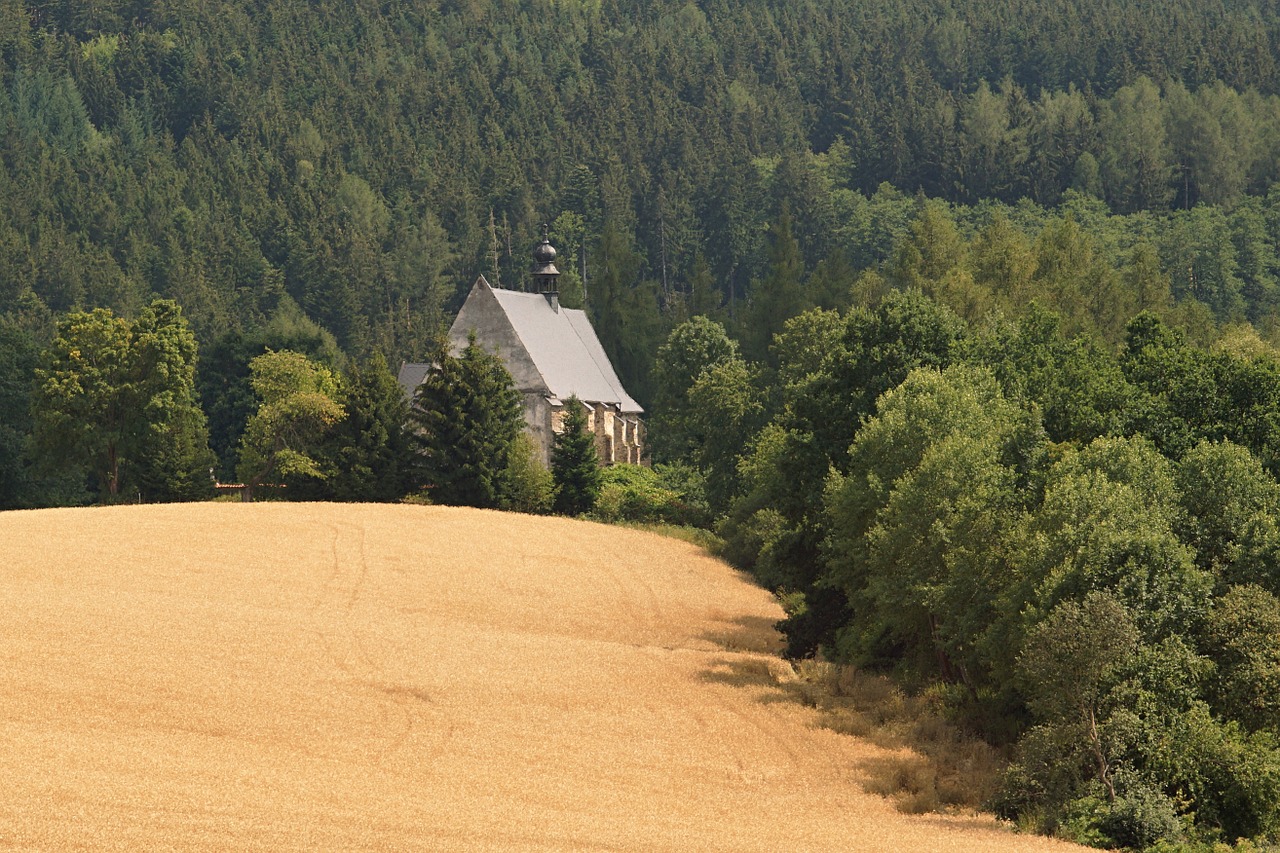 church forest šumava free photo