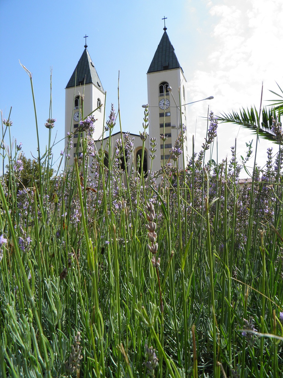 church lavender the sun free photo