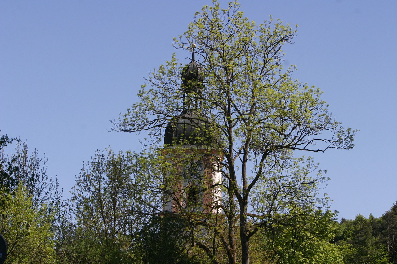 church spring trees free photo