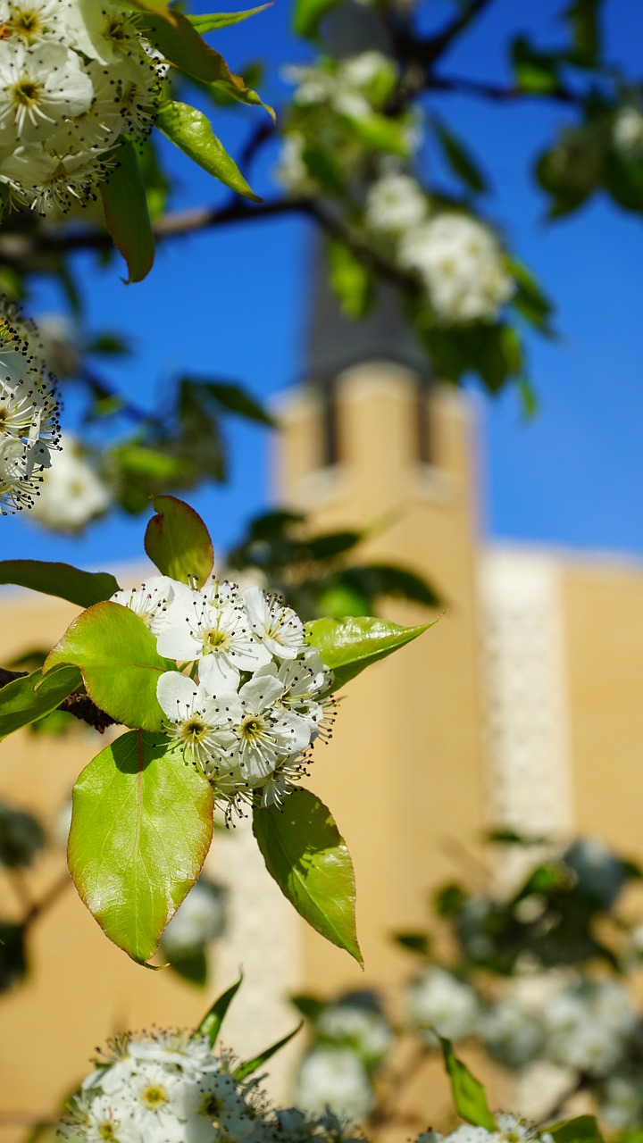 church spring easter free photo