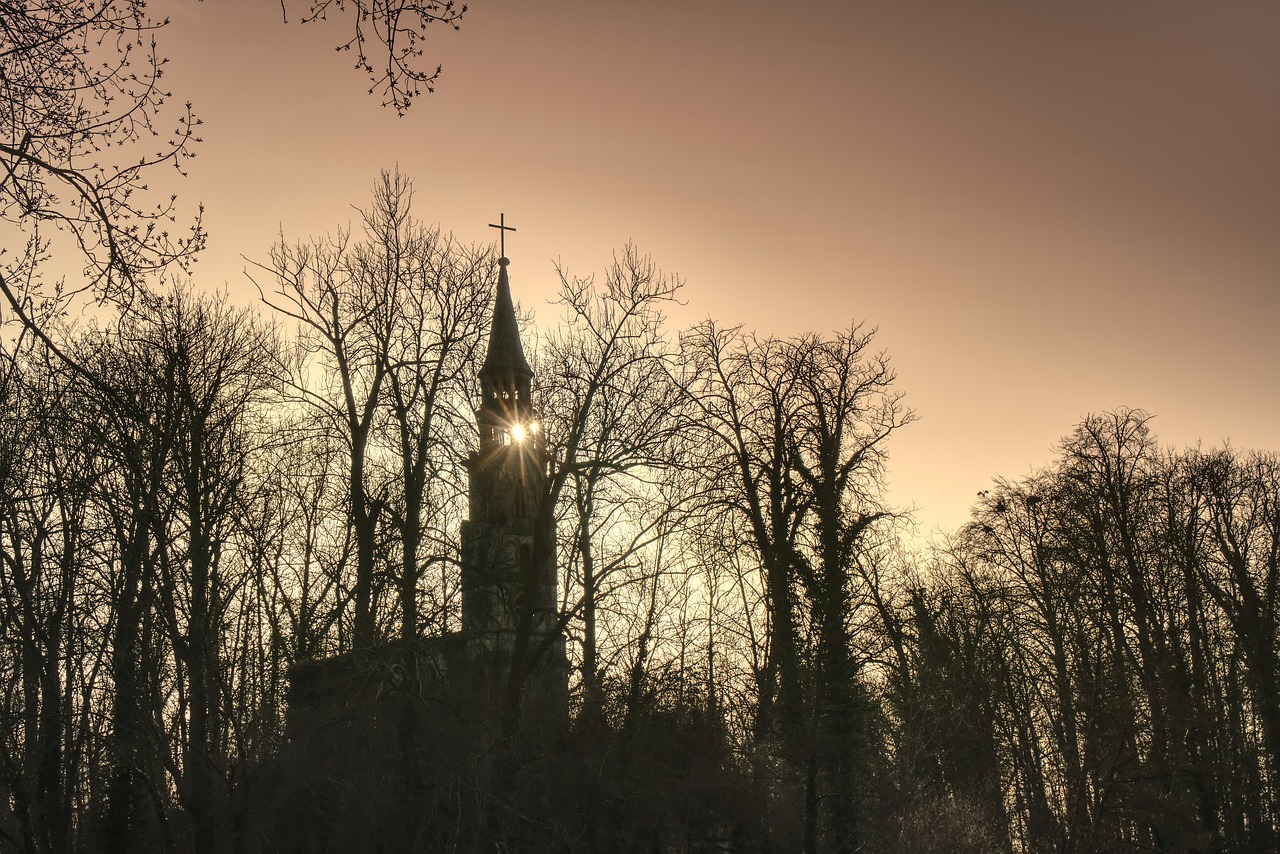 church ruins trees free photo