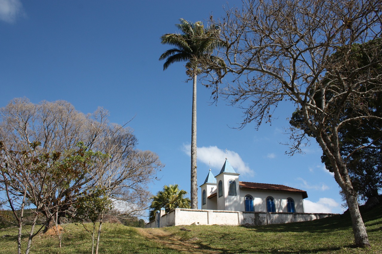 church palm trees mato free photo