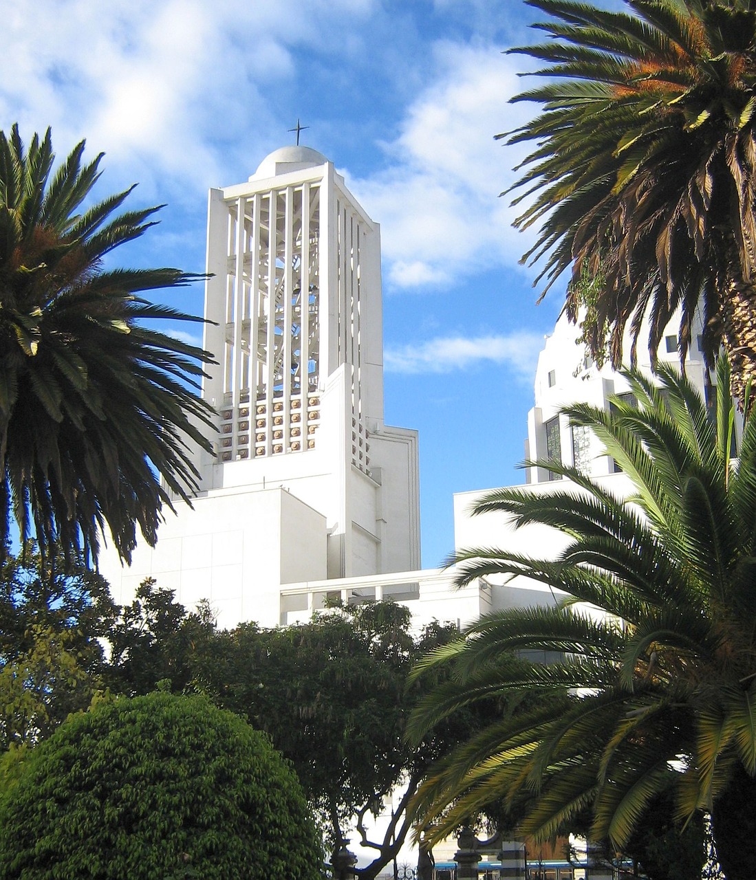 church ambato palm trees free photo