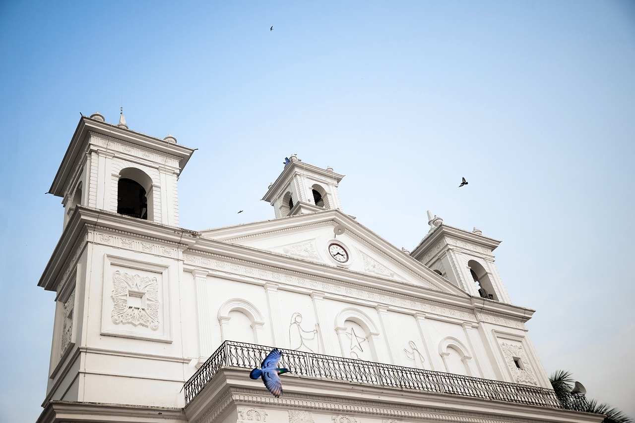 church  birds  architecture free photo