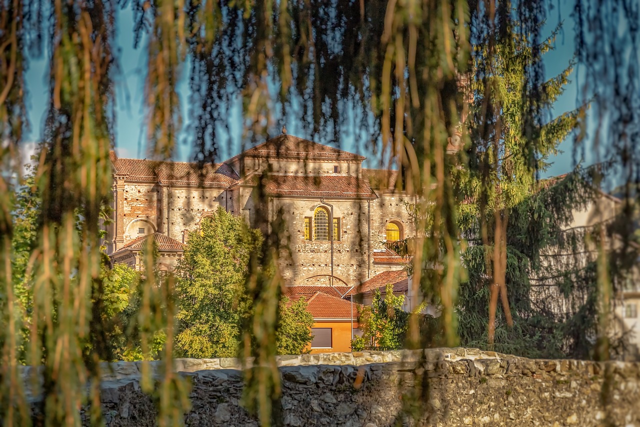 church  branches  nature free photo