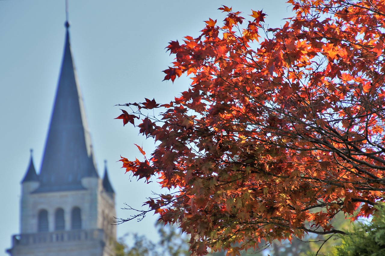 church  foliage  in the fall free photo