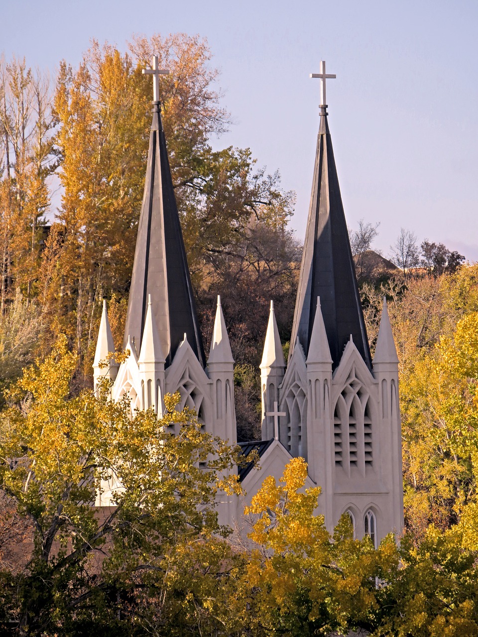 church  steeple  trees free photo