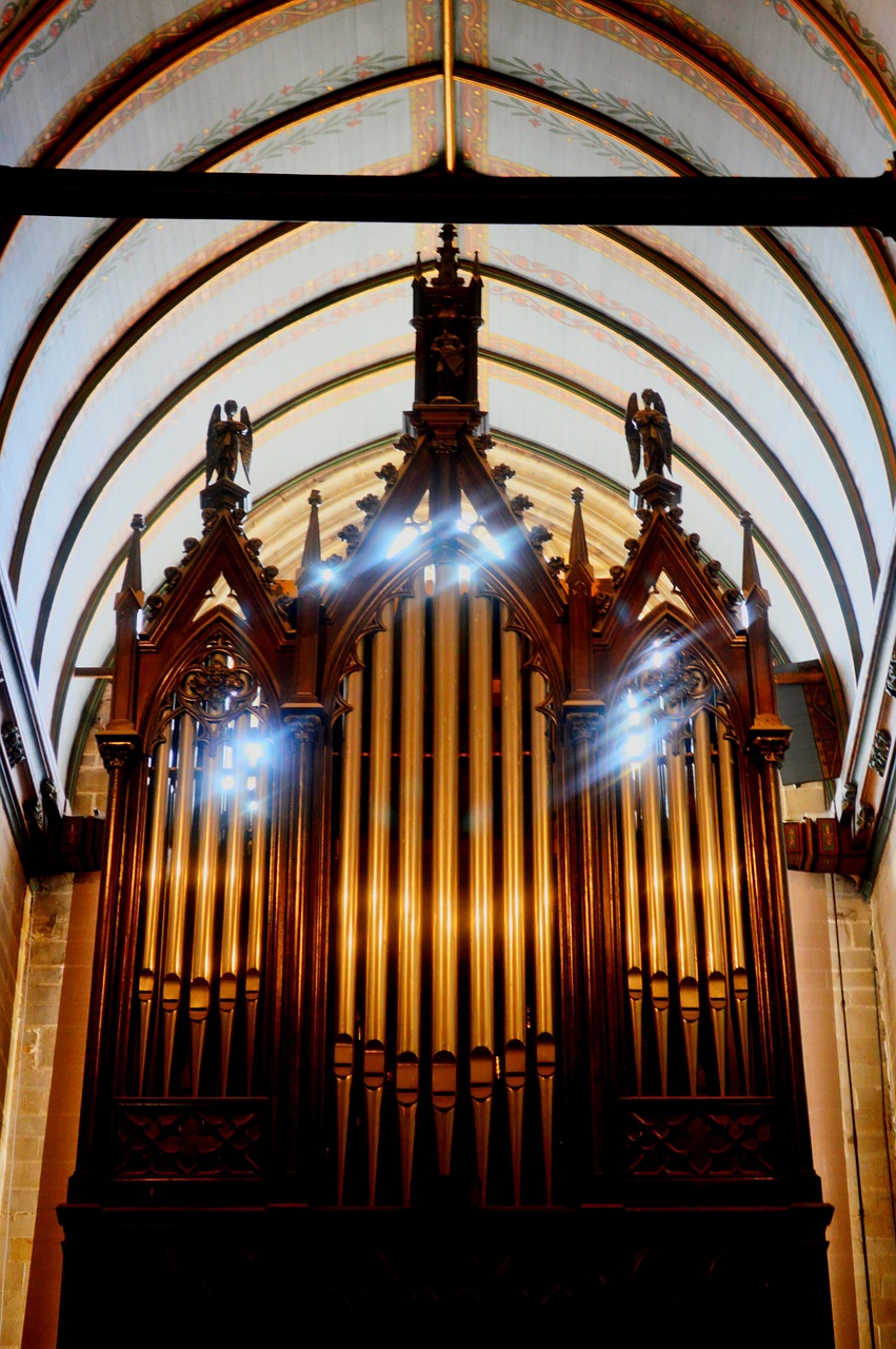 church organ light free photo