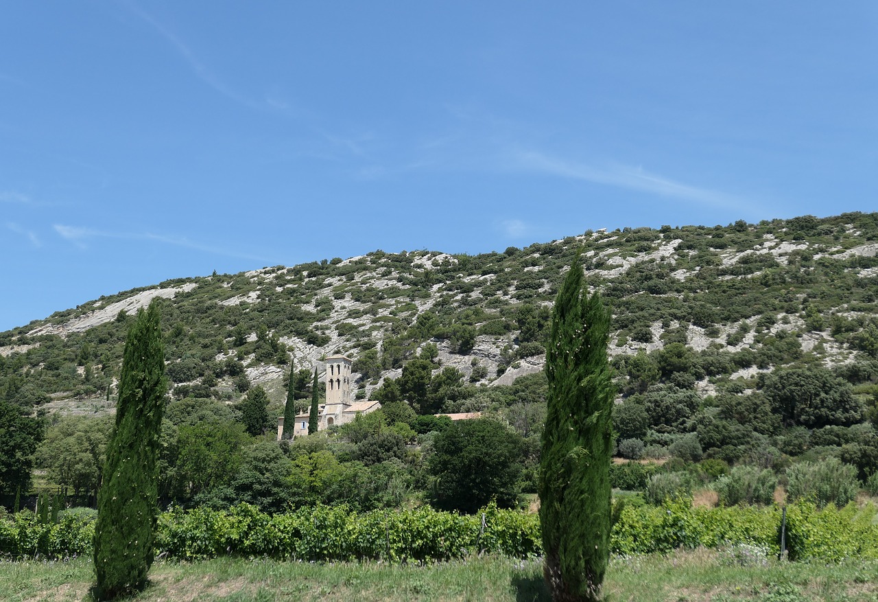 church  provence  pine free photo