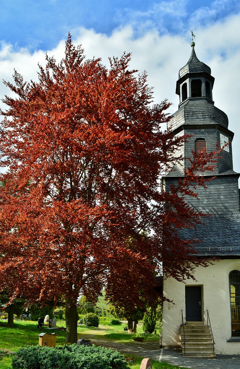 church  steeple  christian free photo