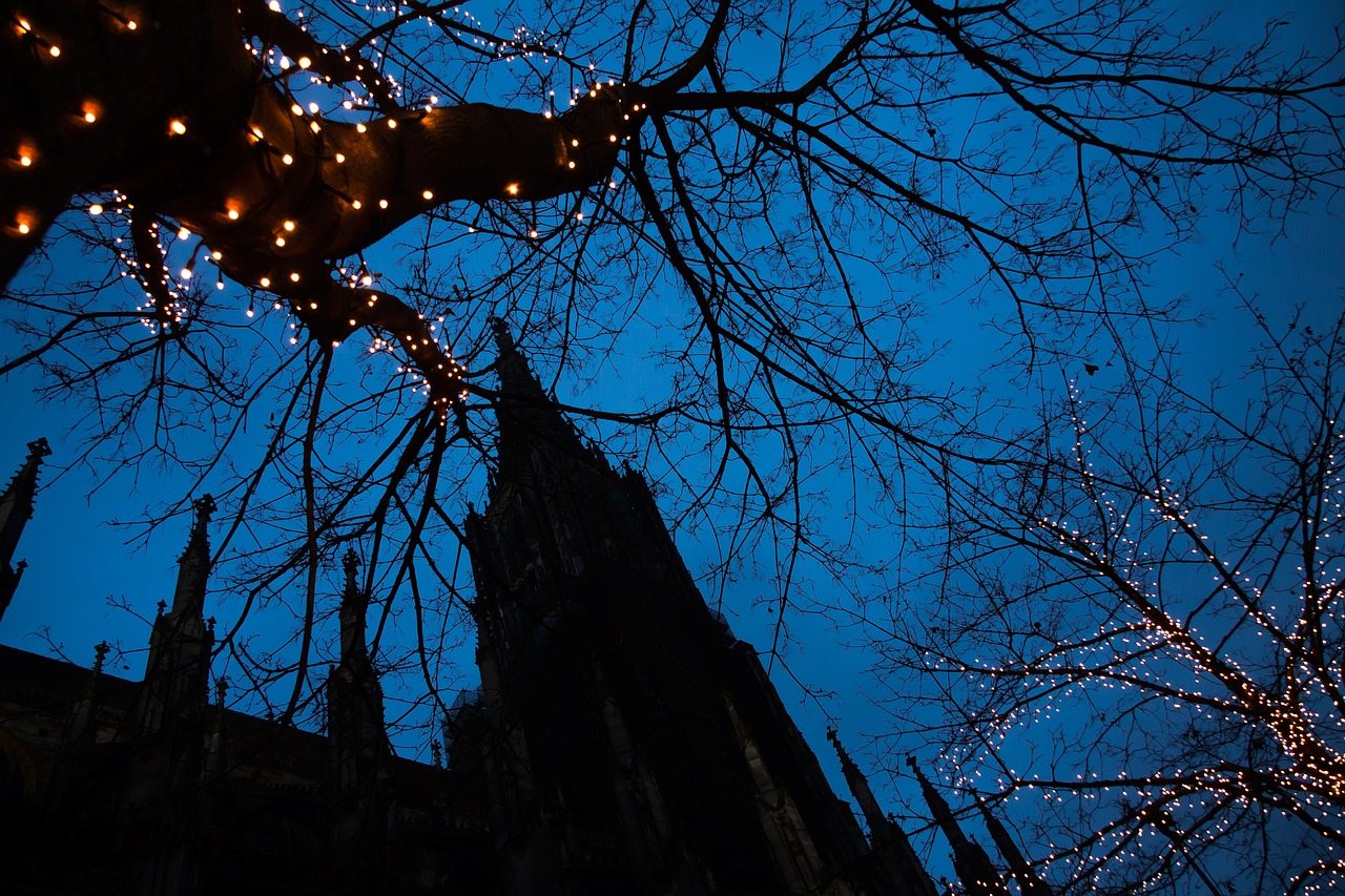 church trees lichterkette free photo