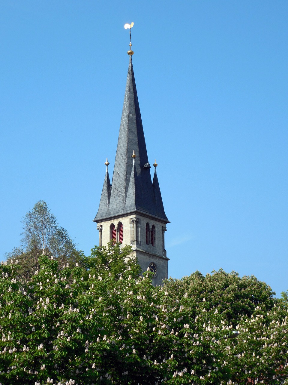 church religion steeple free photo