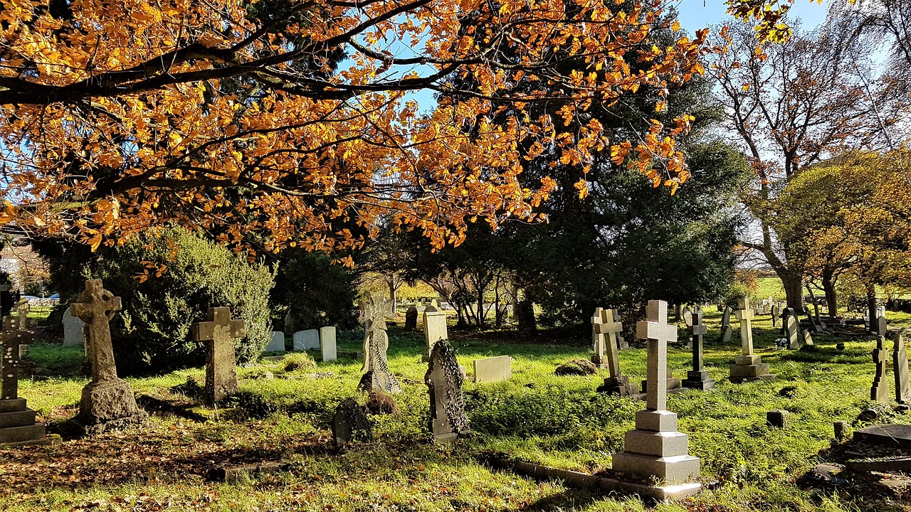 churchyard  graves  trees free photo