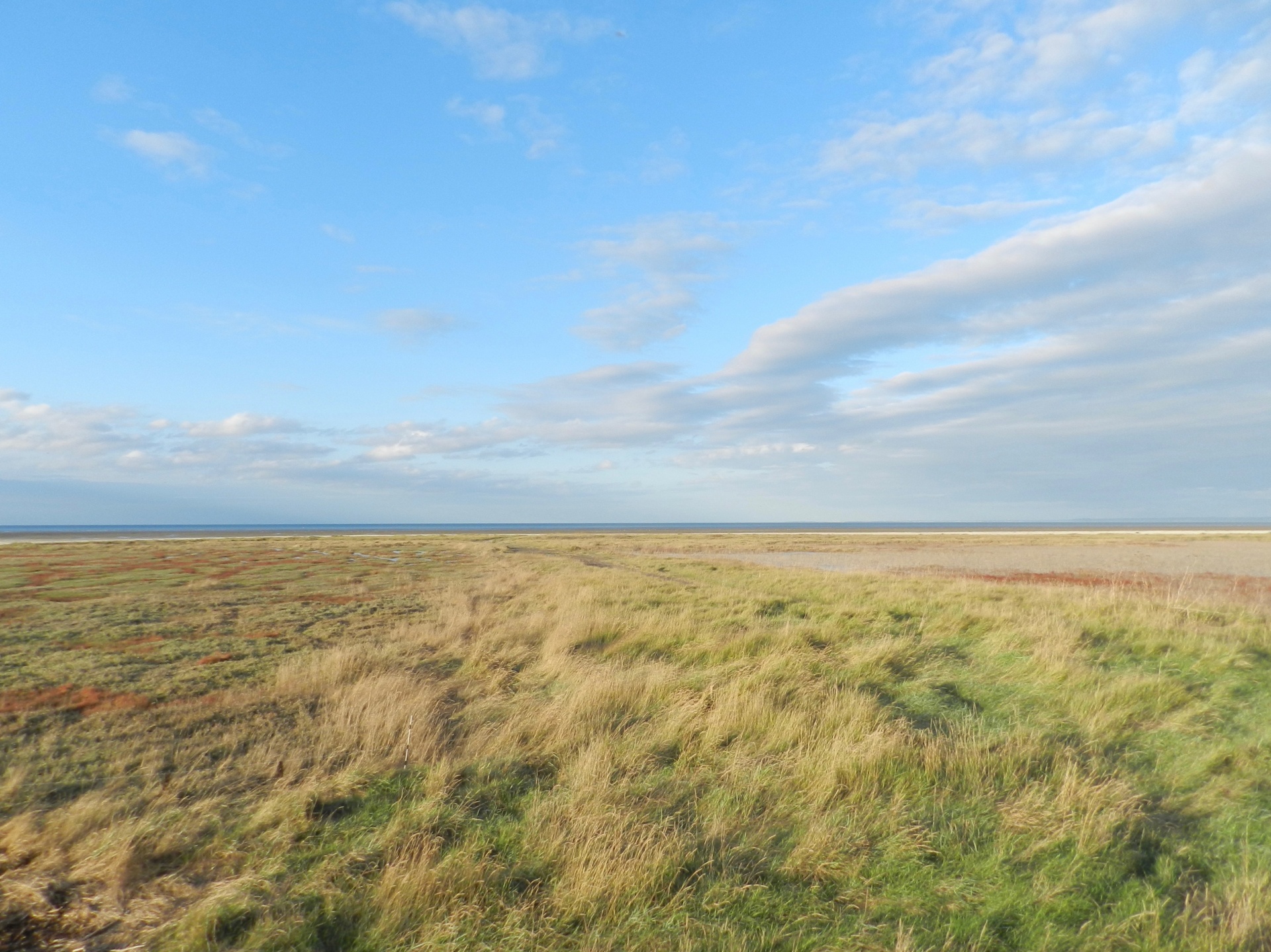 sky cloudy plain free photo