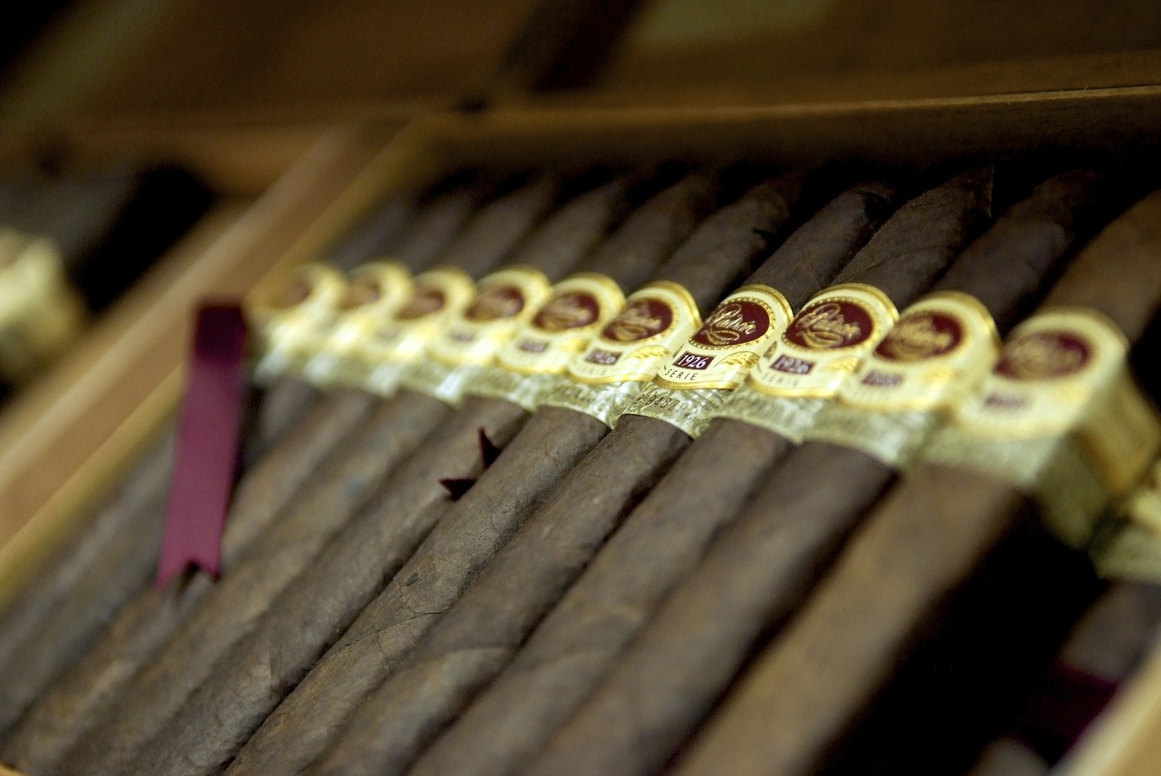 cigar  cigars  cigars in box free photo