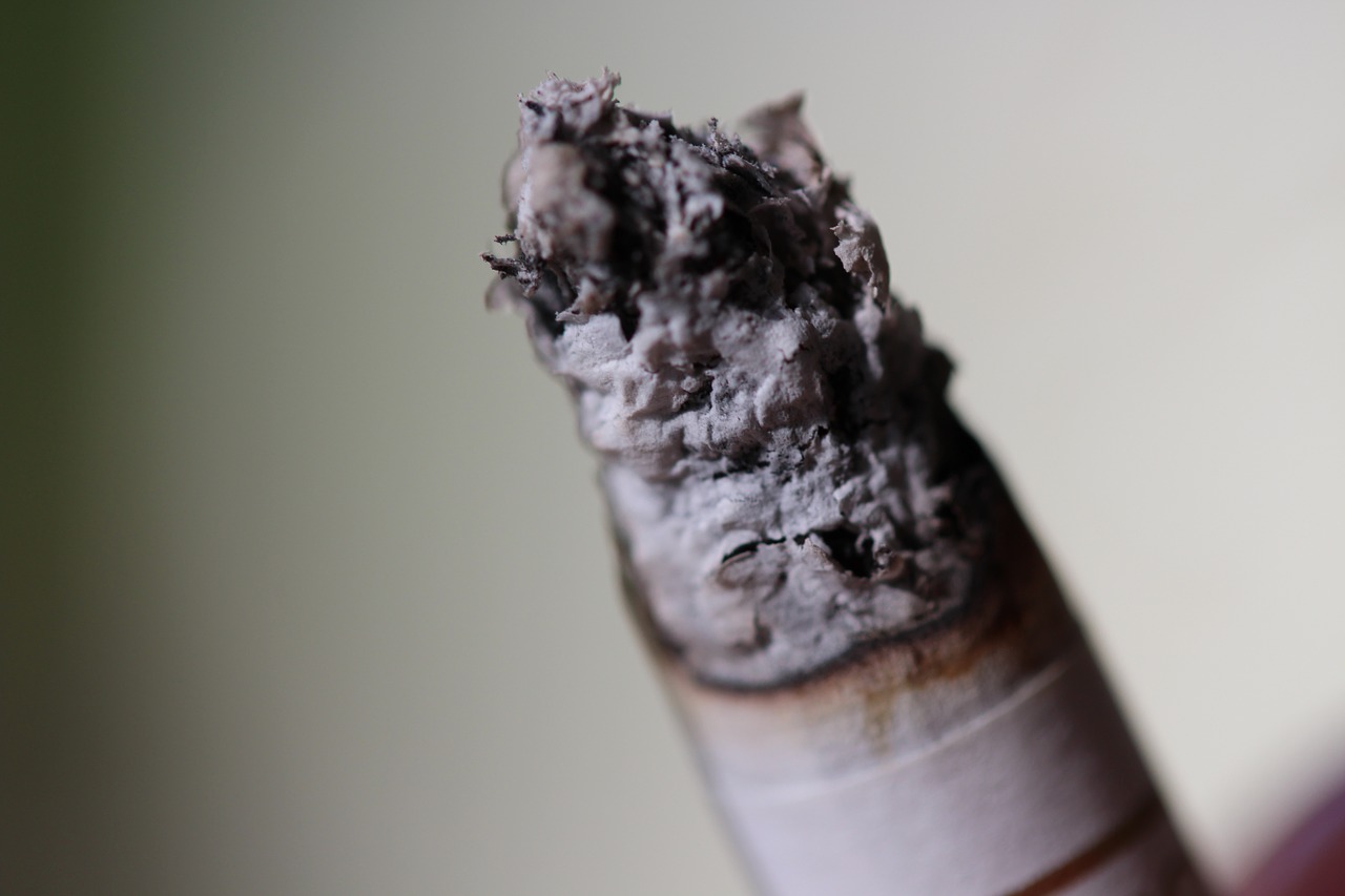 cigarette ash burns free photo