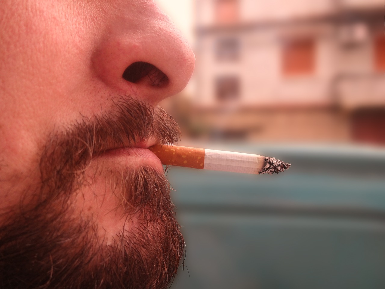 cigarette smoked man free photo
