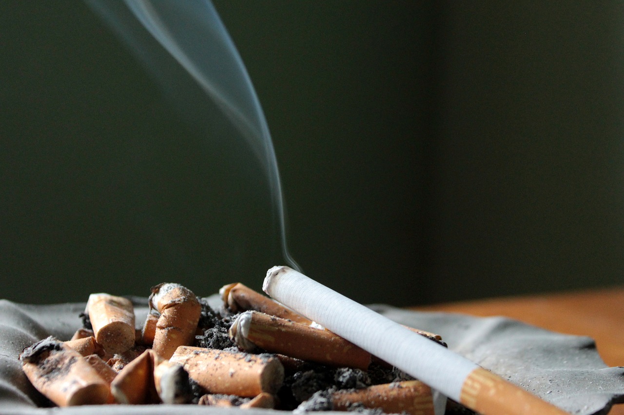 cigarette ashtray ash free photo