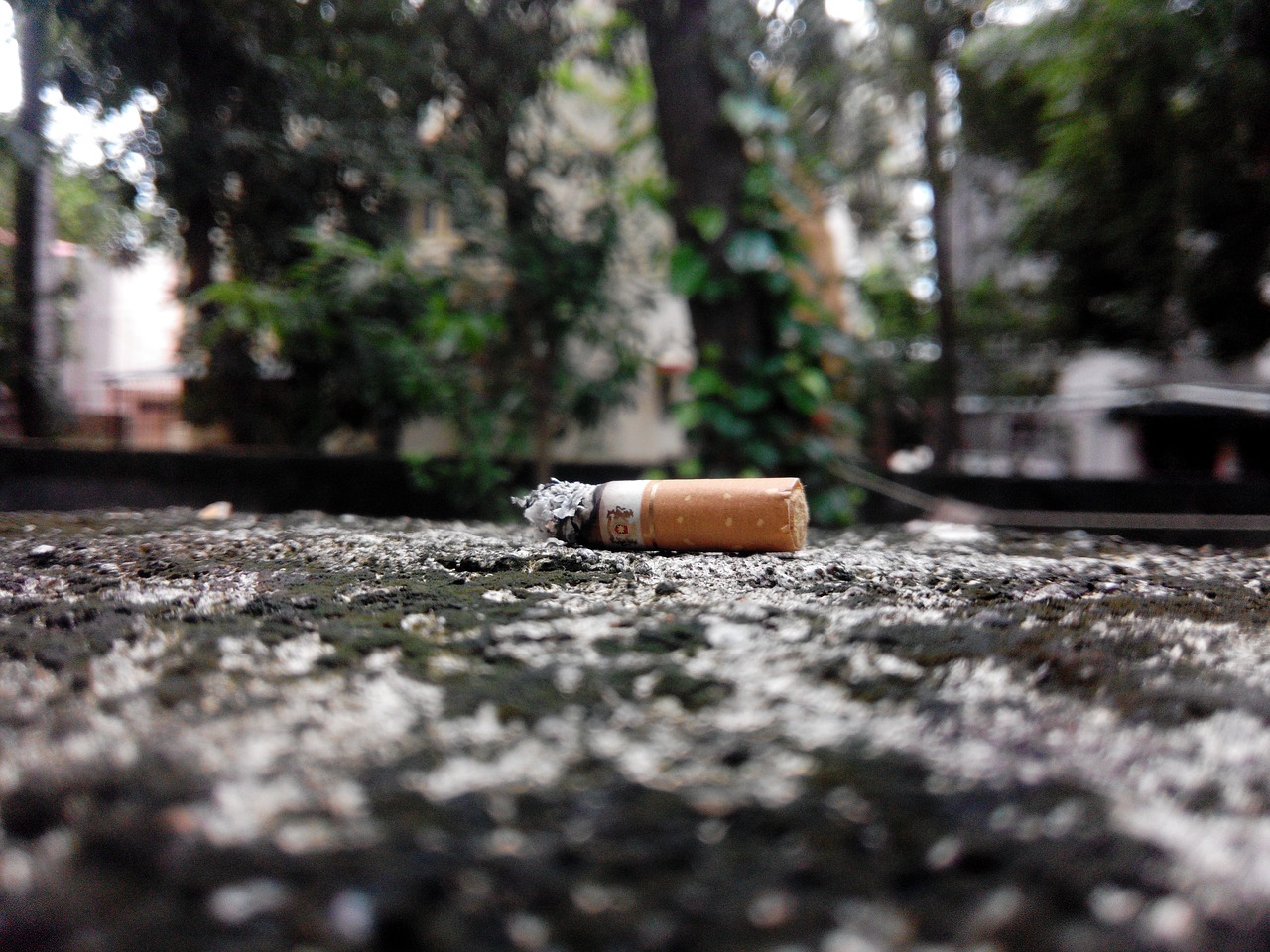 cigarette tobacco addiction free photo