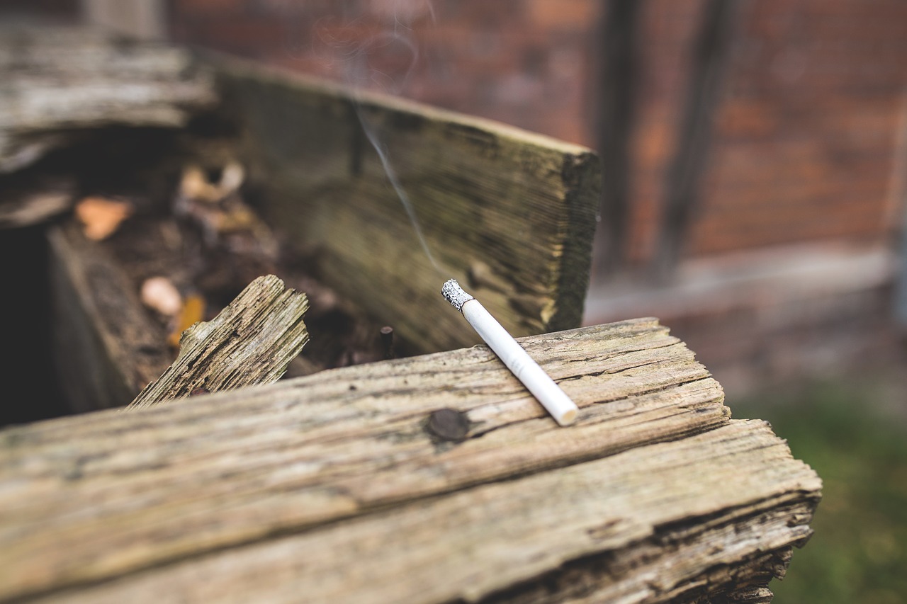 cigarette close-up fag free photo