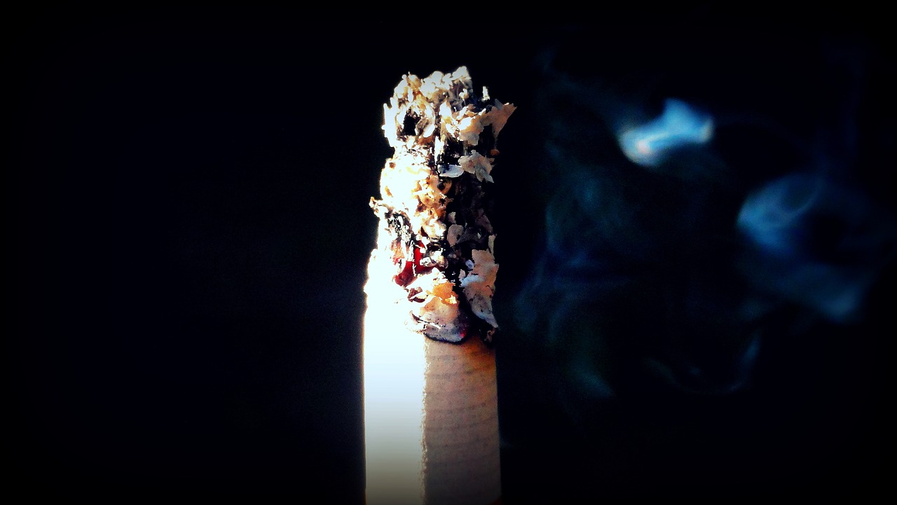 cigarette smoke ash free photo