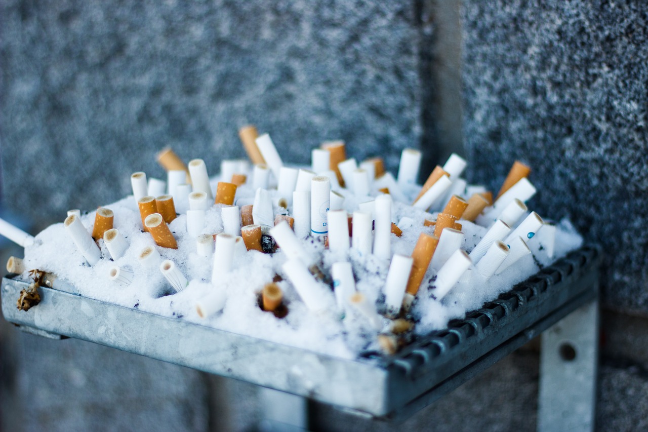 cigarette butts free pictures free photo