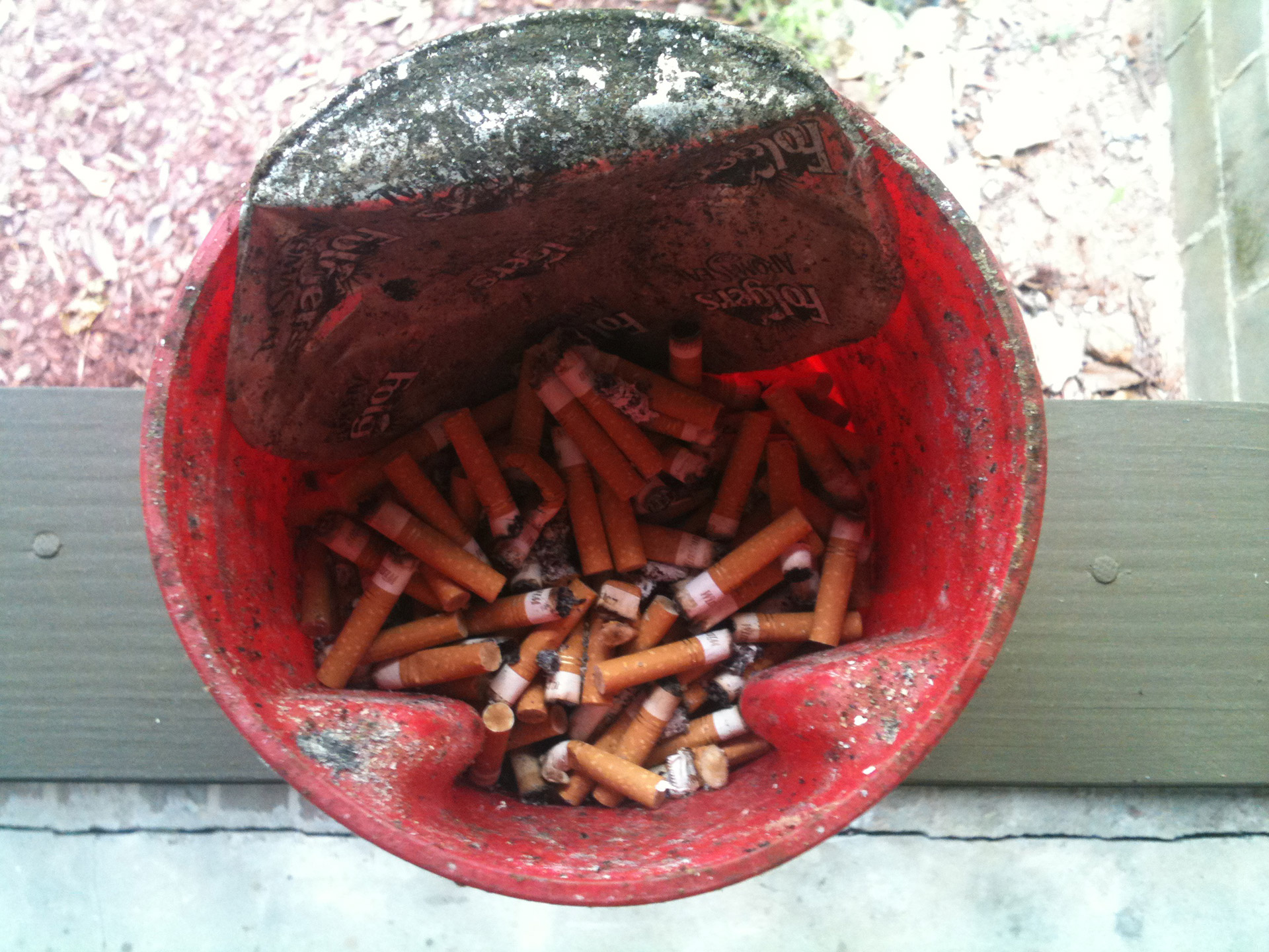 cigarettes butts bowl free photo