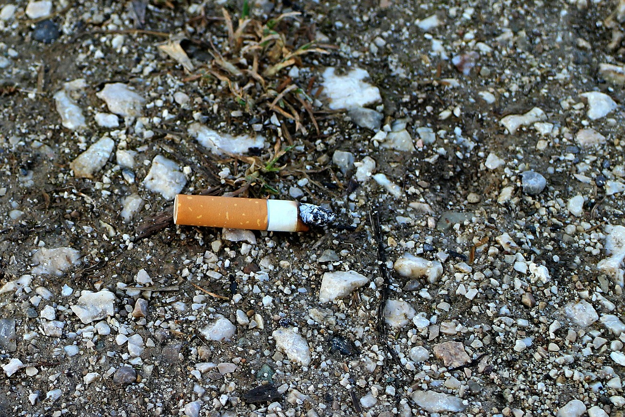 cigarette butt cant cigarette free photo