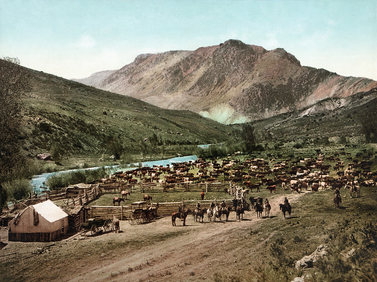 cimarron river cattle roundlup old west free photo