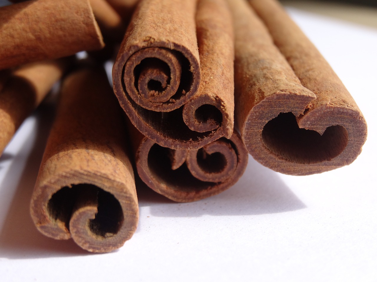 cinnamon spices bark free photo