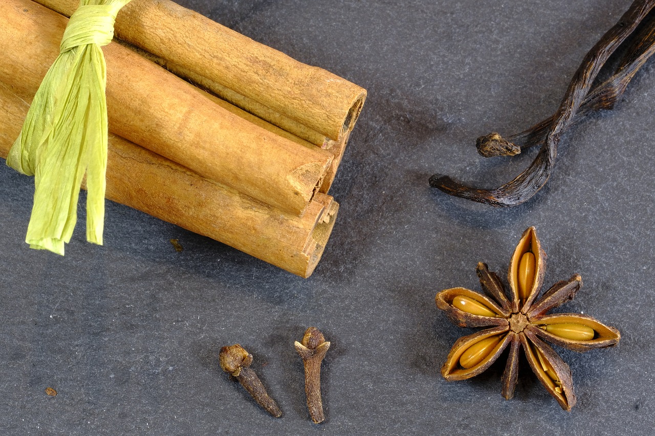 cinnamon cinnamon stick anise free photo