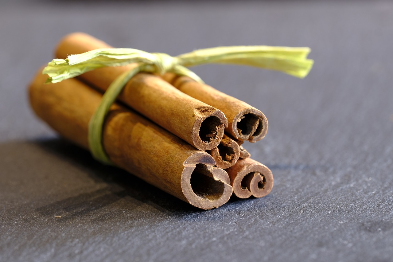 cinnamon cinnamon stick fragrance free photo