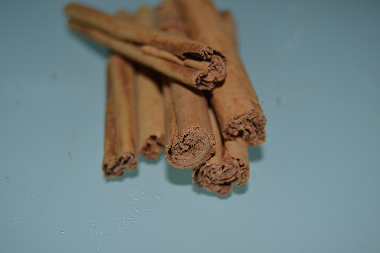 cinnamon spices branch free photo