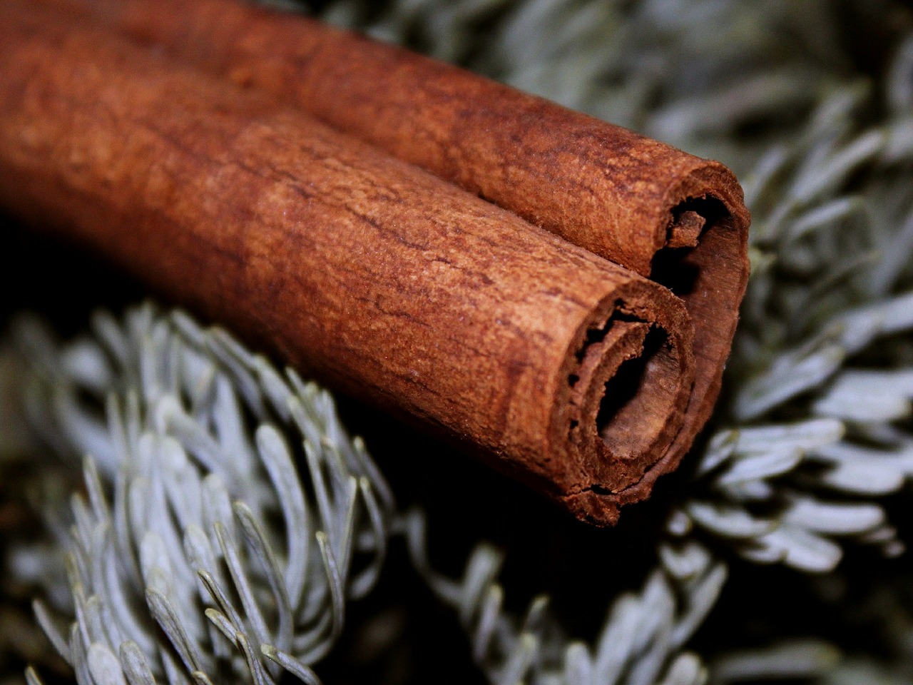 cinnamon stick cinnamon brown free photo