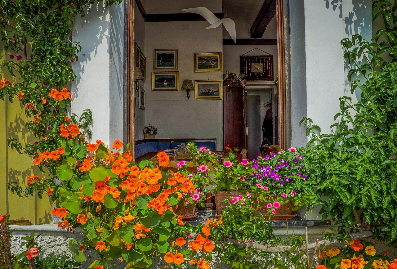 cinque terre italy flowers free photo