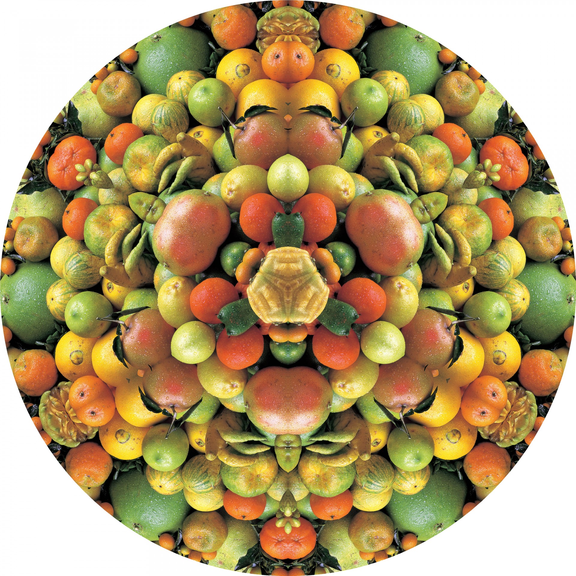 fruits circle kaleidoscope free photo