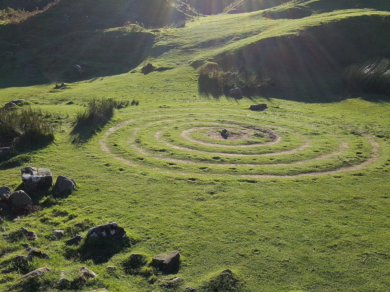 circles green nature free photo