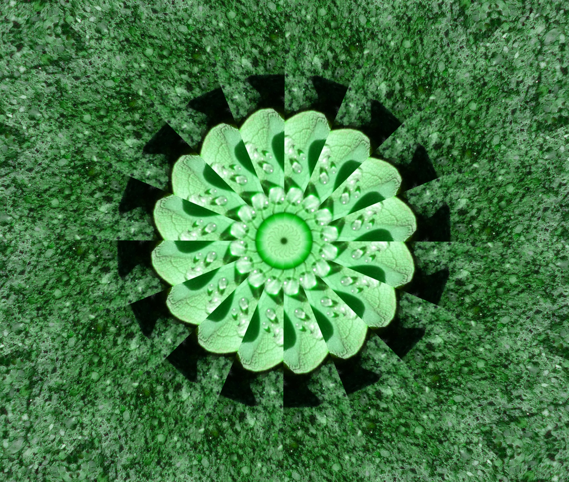 green pattern abstract pattern free photo
