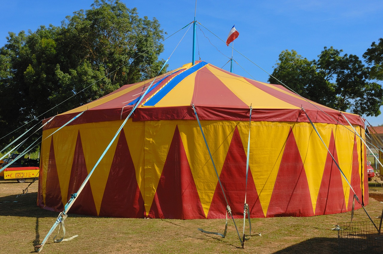 circus marquee show free photo